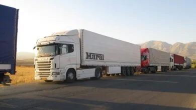 57319302.jpg
