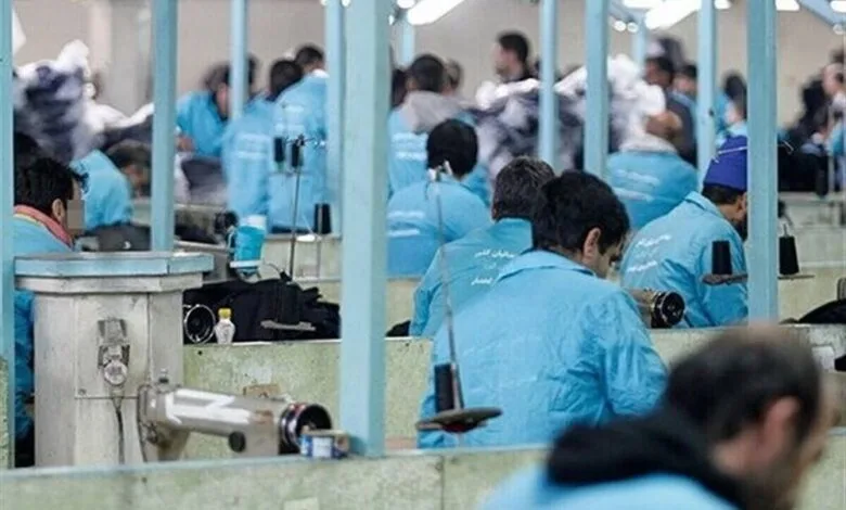 مازندران رتبه دوم کاهش بیکاری را کسب کرد