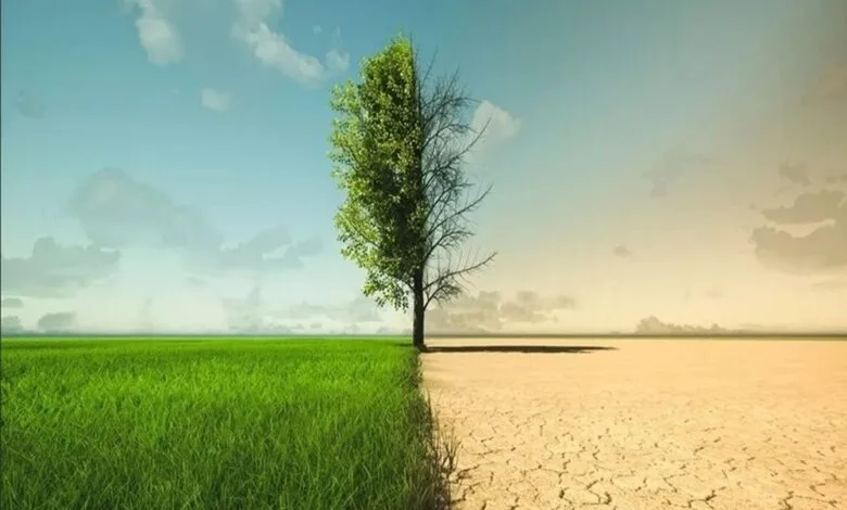 کاهش خسارتهای امنیت غذایی در گرو ذخیرهسازی محصولات استراتژیک کاهش خسارتهای امنیت غذایی در گرو ذخیرهسازی محصولات استراتژیک