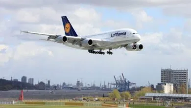 57400303.jpg