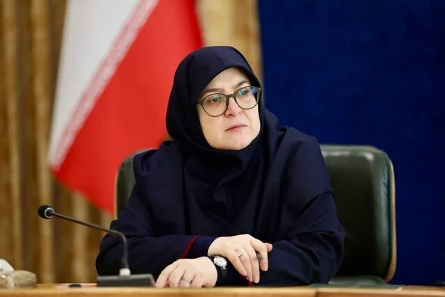 مهاجرانی: درباره مذاکرات نه ذوقزدهایم نه گاردی داریم مهاجرانی: درباره مذاکرات نه ذوقزدهایم نه گاردی داریم