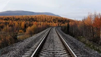 57927252.jpg