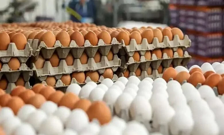 4941757.jpg