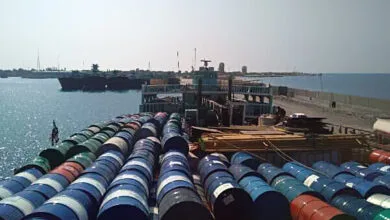 4505460.jpg