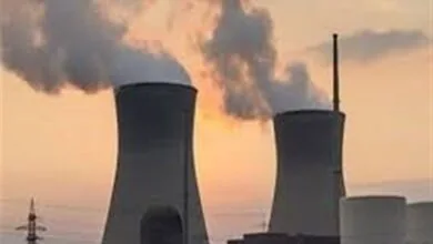 5222492.jpg