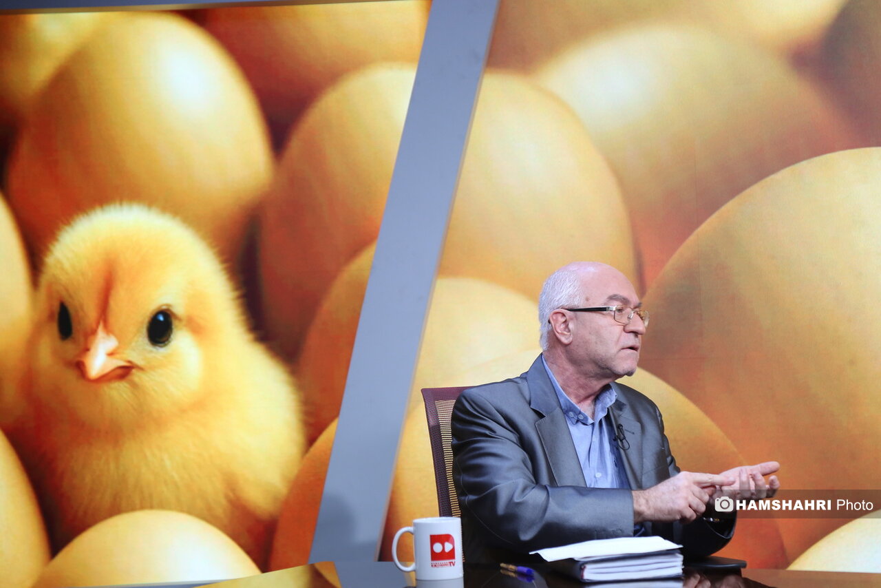 بازار نهاده ها قفل شد، بازار مرغ ملتهب | هشدار تولیدکنندگان درباره جهش دوباره قیمت