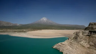 4951848.jpg