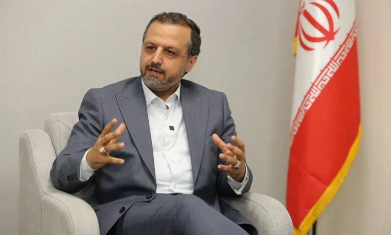 دلیل افزایش قیمت مرغ از زبان وزیر اسبق؛ اگر این اتفاق می افتاد قیمت مرغ کیلویی ۱۰۰ هزار تومان بود