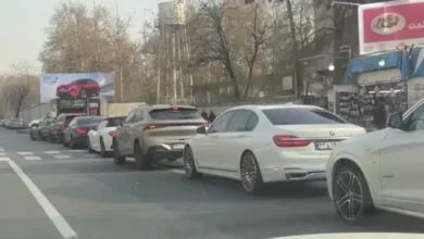 5293660.jpg