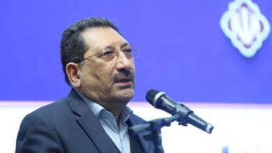 تأکید بر اجرای عملی توافقات صنعتی و تجاری ایران و تاجیکستان